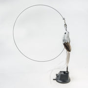 Handfeed Bird/Feather Pet Toys